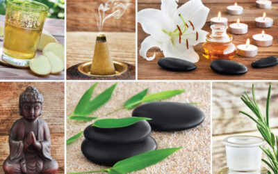 Herbs and Remedies for Stress Relief: Unwind and Find Your Zen