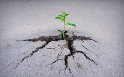 Don’t Slip Through the Cracks: Proactive Patient Advocacy