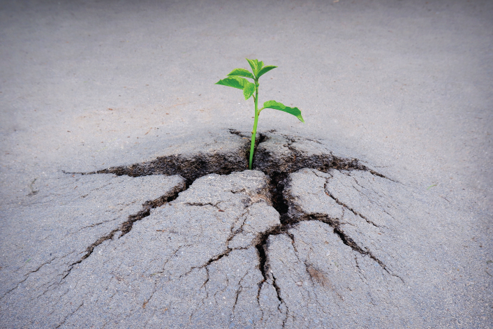 Don’t Slip Through the Cracks: Proactive Patient Advocacy