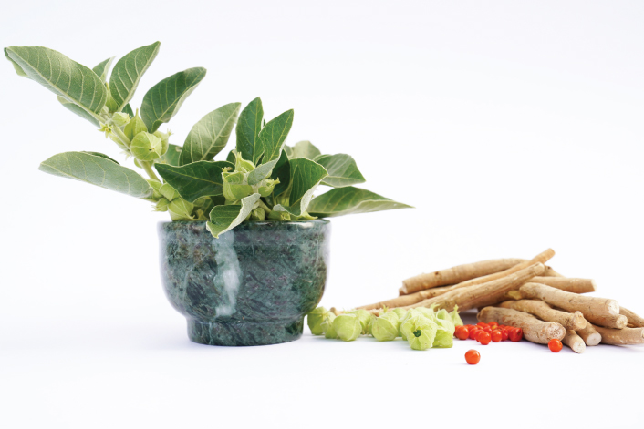 Ashwagandha Benefits: Stress Relief, Energy Boost & More